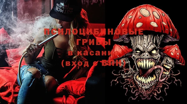 2c-b Алзамай